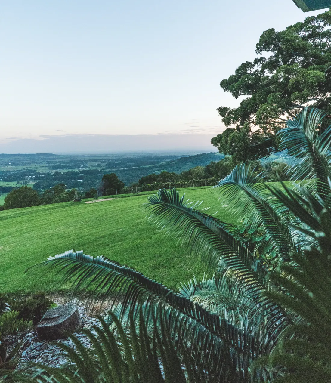 A green lawn edged with palms looking out over farmland and distant hills at dusk